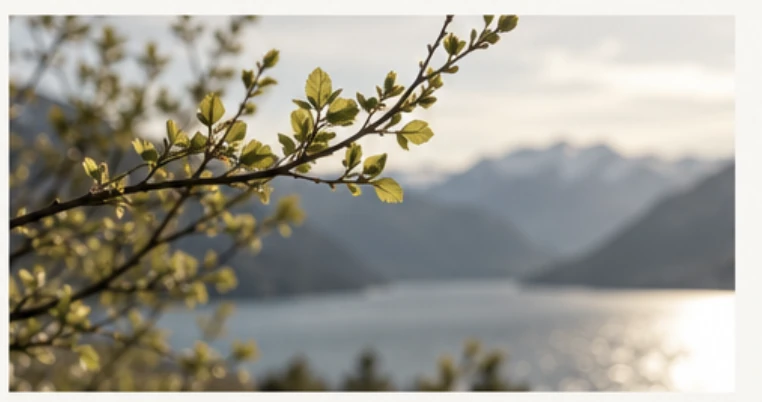 En grønn grein i mykt lys foran et stille fjellvann.